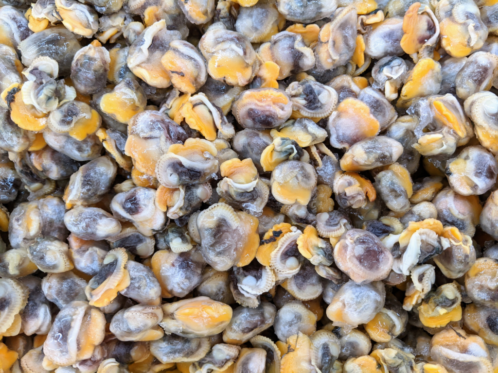 492972792 1248653090593175 5400453369189123488 n