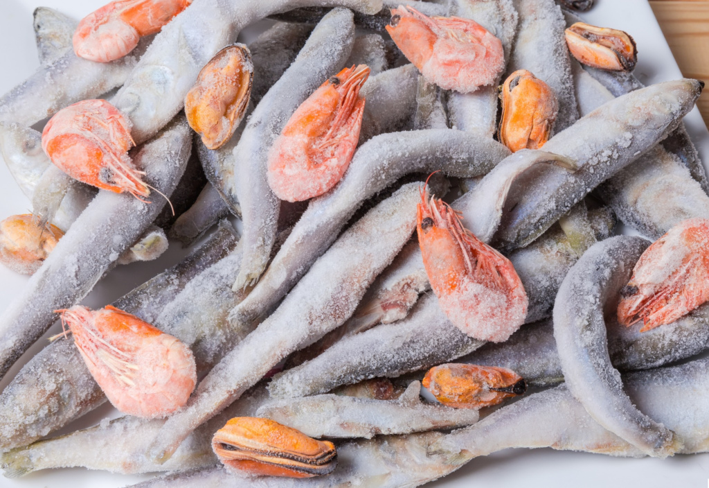 493323176 1251704716954679 656626889158837426 n