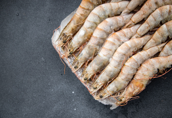 490491574 1237336301724854 7426390402945181942 n