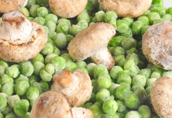 493738027 1253569463434871 3256175420223378297 n