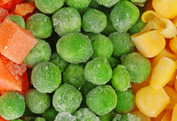 494384030 1254447586680392 6226810729198944367 n