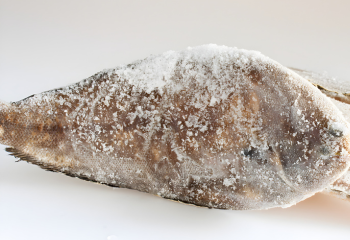 progetto senza titolo (44)