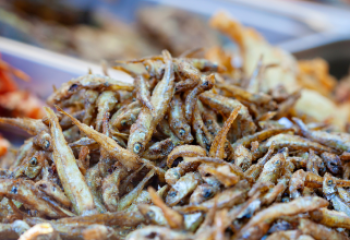 progetto senza titolo (64)