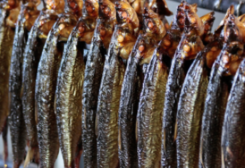 progetto senza titolo (65)